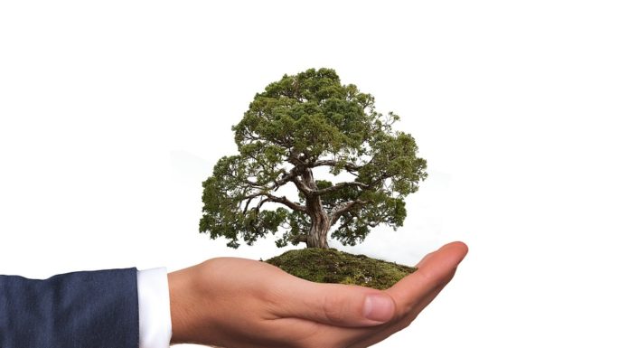 Google y Apple trabajan por el bien del medio ambiente: tienen un plan para 2022