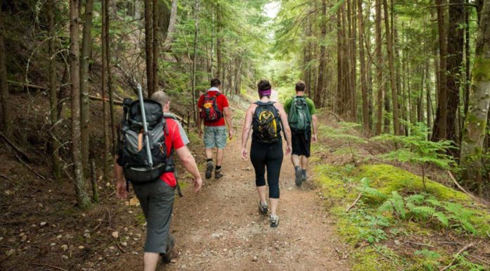 Los doctores explican por qué subir cerros cambia tu cerebro. El modo en que funciona es fascinante