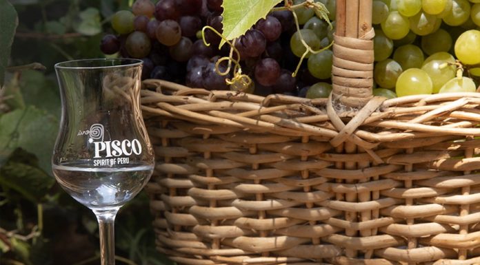 Científicamente comprobado: solo en Perú se puede producir pisco