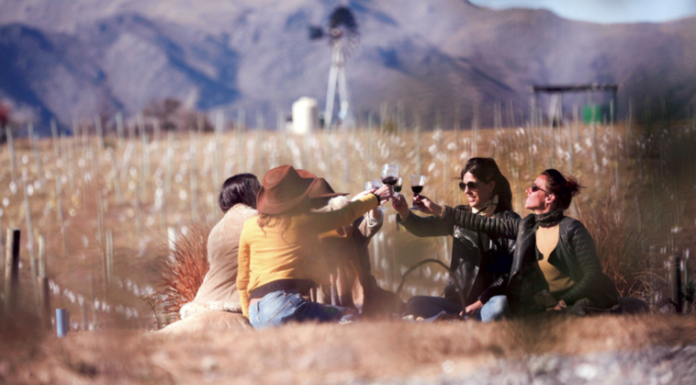 Argentina: Abrieron el primer hotel temático inspirado en el vino