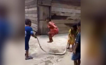 VIDEO: Niños ‘saltan a la cuerda’ con una serpiente muerta