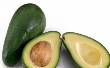 ¿Palta o aguacate? Conoce aquí la historia!