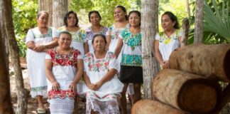 Mujeres mayas salvan a las abejas y se empoderan