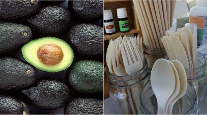 Compañía mexicana transforma huesos de aguacates en popotes y utensilios