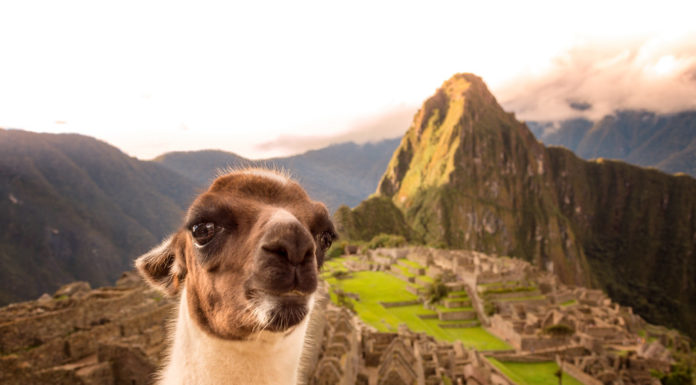 Perú instalará cámaras en Machu Picchu para protegerlo de turistas irrespetuosos