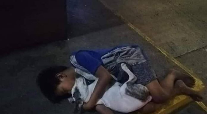 Un niño sin hogar duerme abrazado a su perro, la imagen se hace viral