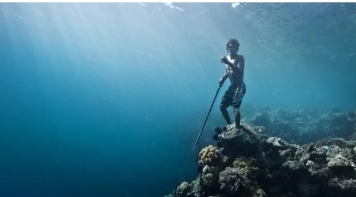 A miles de kilómetros, prácticamente del otro lado del mundo, existen tribus que han llevado su vida lejos de la Tierra y en medio del mar. Entre ellos se encuentran los bajau.