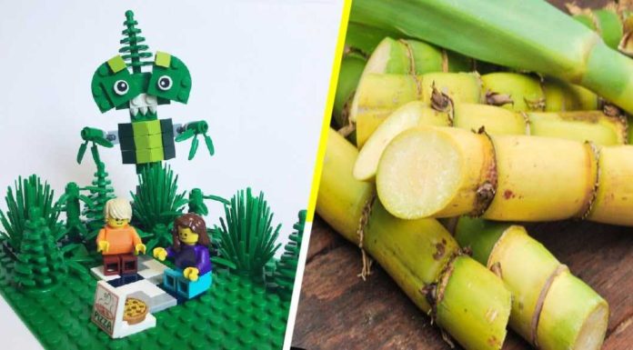 LEGO SE DESPIDE DEL PLÁSTICO INNOVANDO CON BLOQUES HECHOS DE CAÑA DE AZÚCAR