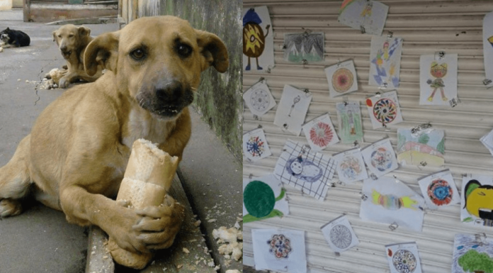 Niñas venden sus dibujos para comprar comida a perritos abandonados