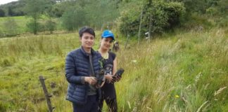 Proponen que sea requisito plantar un árbol para graduarse del colegio y la universidad