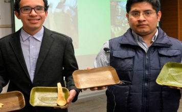 Usando hojas de plátano, peruanos crean platos que se descomponen en 60 días
