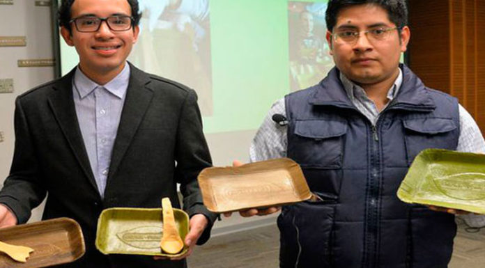 Usando hojas de plátano, peruanos crean platos que se descomponen en 60 días