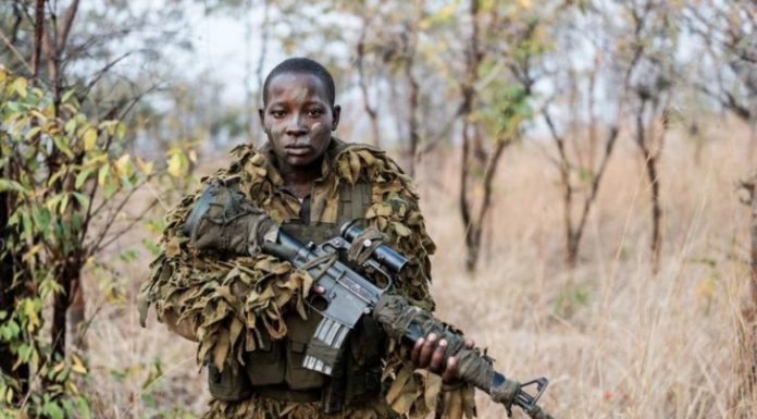 Conoce a las valientes mujeres que están combatiendo la caza furtiva de elefantes en Zimbabue