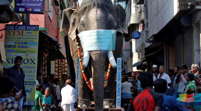 La controvertida respuesta de India al coronavirus