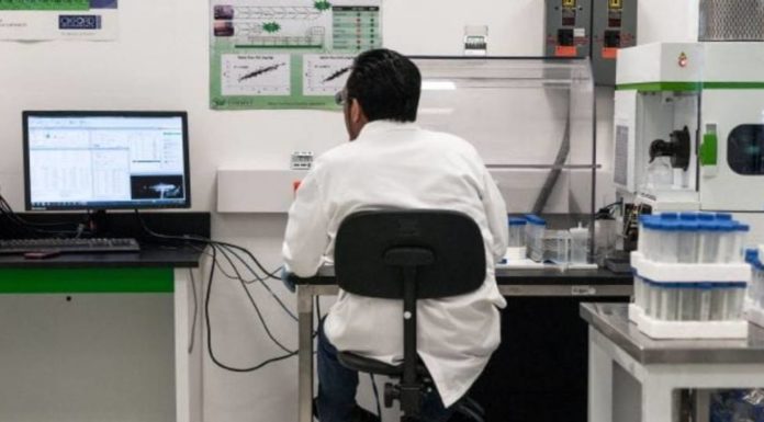 Por error, descubren potencial cura contra el cáncer