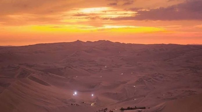 Oasis de Huacachina vuelve a ser el hogar de aves durante Cuarentena