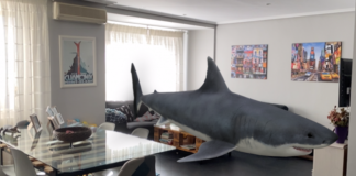 El truco de Google para ver un tiburón o un tigre en 3D en el salón de tu casa que triunfa en las redes sociales