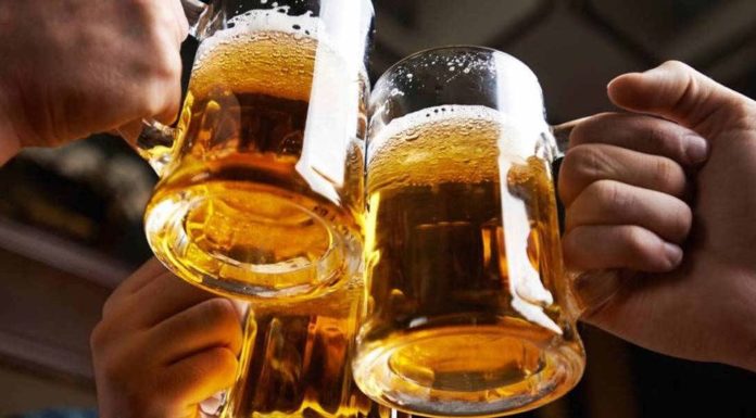 Ofrecen tres meses de cerveza gratis si adoptas un perro en cuarentena