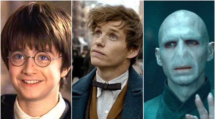 Te pagarán 1,000 dólares por ver las 10 películas de ‘Harry Potter’ y ‘Animales fantásticos’ de principio a fin