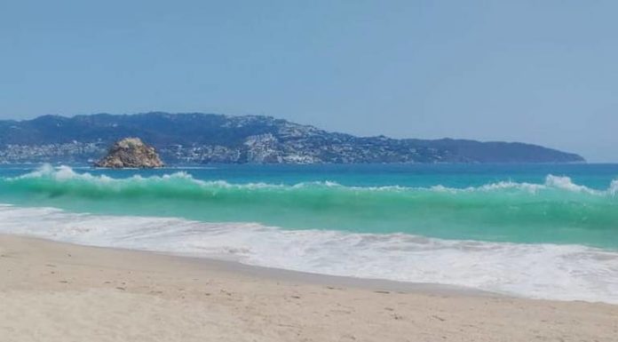 Mar de Acapulco se «cristaliza» ante ausencia de turistas