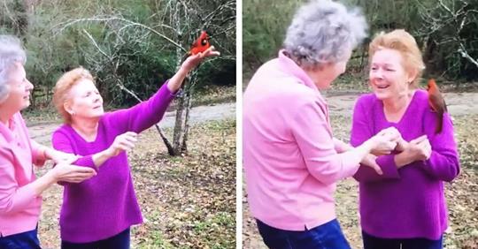 Familiares reciben visita de un misterioso y amigable pájaro durante un funeral