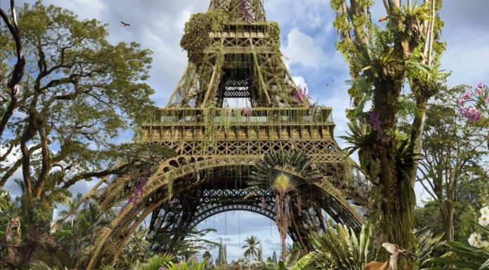 Así se vería París si no estuviese habitada por humanos nunca más