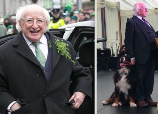 12 fotos adorables del presidente irlandés y sus magníficos perros que se niegan a separarse de él en todas las ocasiones