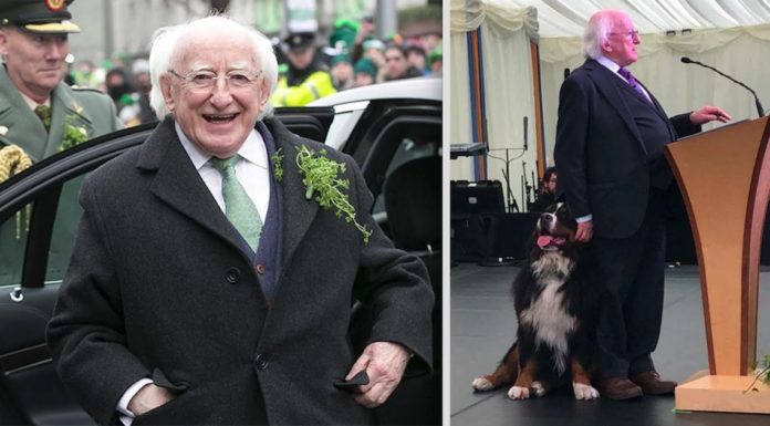 12 fotos adorables del presidente irlandés y sus magníficos perros que se niegan a separarse de él en todas las ocasiones