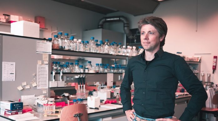 Hallan anticuerpos «completamente humanos» capaces de bloquear la infección del nuevo coronavirus