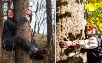 Las personas en Islandia abrazan los árboles para mejorar su salud mental