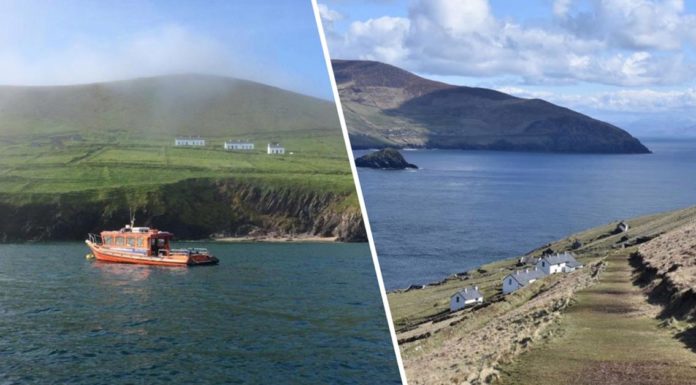 Una remota Isla de Irlanda está reclutando a dos amigos para llevar una cafetería