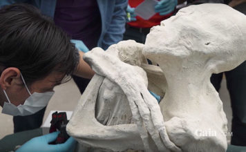 Los secretos de la presunta momia extraterrestre de Nazca