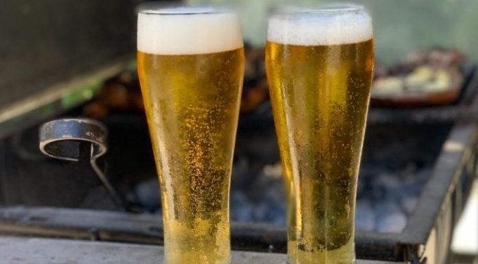 Esta empresa te paga 20 mil dólares por caminar en el bosque y tomar chelitas