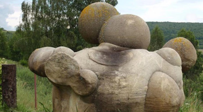 Conoce las piedras vivas que son un misterio