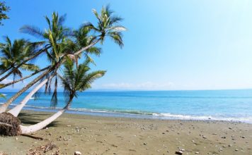 ¿Quieres viajar gratis a Costa Rica?