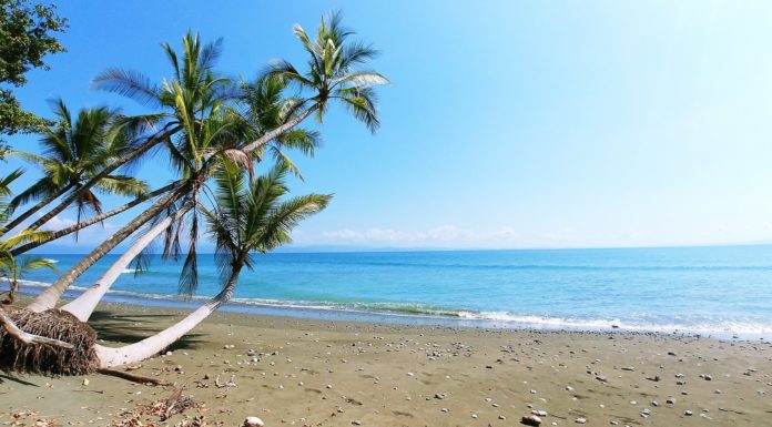 ¿Quieres viajar gratis a Costa Rica?