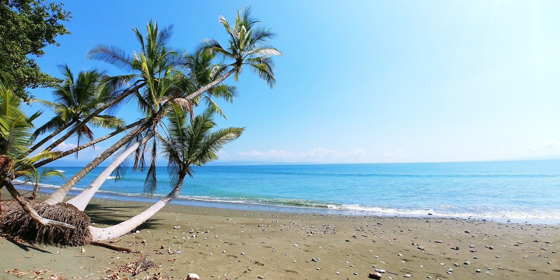 ¿Quieres viajar gratis a Costa Rica?