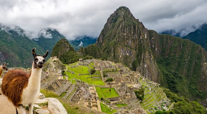 Si estás en los siguientes países, podrás viajar a Perú a partir del lunes.