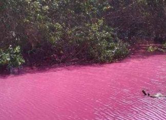 Rio rosado de San Juan de Urabá, un espectáculo de la naturaleza colombiana