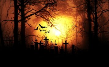 Recorre el primer cementerio general de Latinoamérica con The Freak Show y su tour virtual