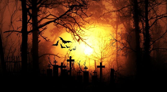 Recorre el primer cementerio general de Latinoamérica con The Freak Show y su tour virtual