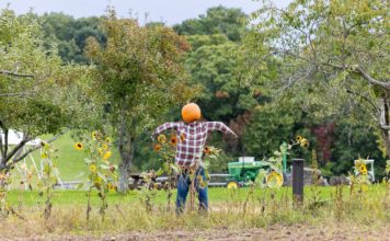 El pueblo donde siempre es Halloween