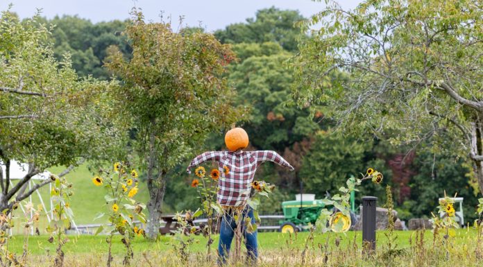 El pueblo donde siempre es Halloween