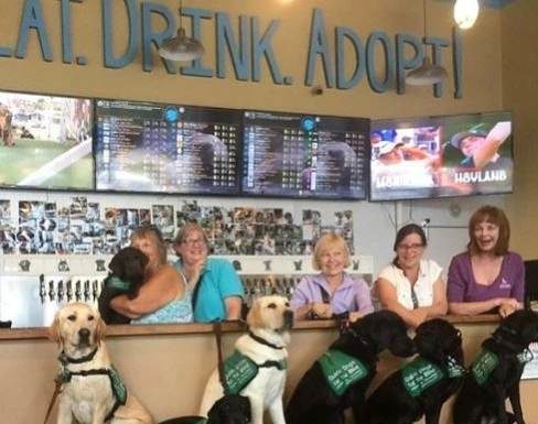 El bar donde puedes beber y adoptar perros