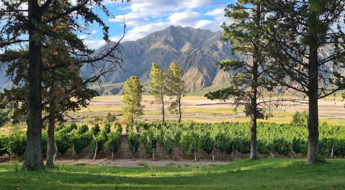 Descubre Mendoza, Argentina: una joya en medio de los Andes