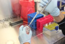 Descubren como transformar los desechos plásticos en jabón