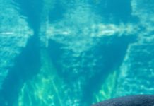 Ecuador: Guía de viaje por expertos en el destino