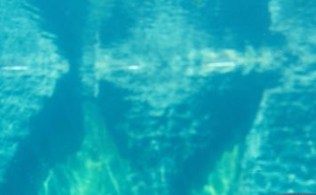 Ecuador: Guía de viaje por expertos en el destino