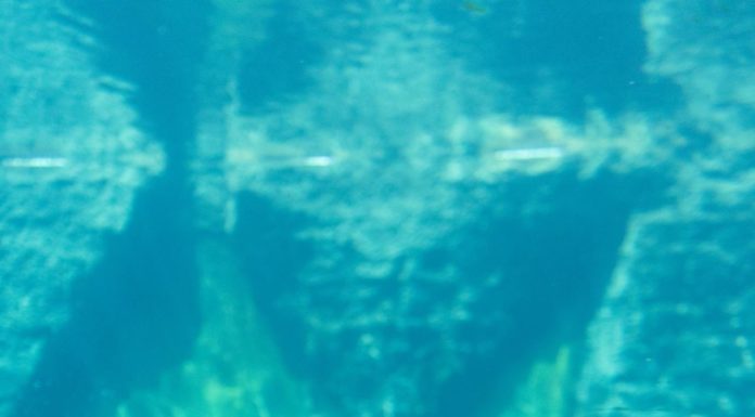 Ecuador: Guía de viaje por expertos en el destino