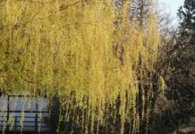 La edad es solo un número: Parejas de ancianos dan la vuelta al mundo